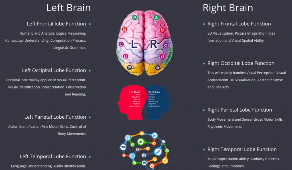 DMIT Analysis and Brain Lobes