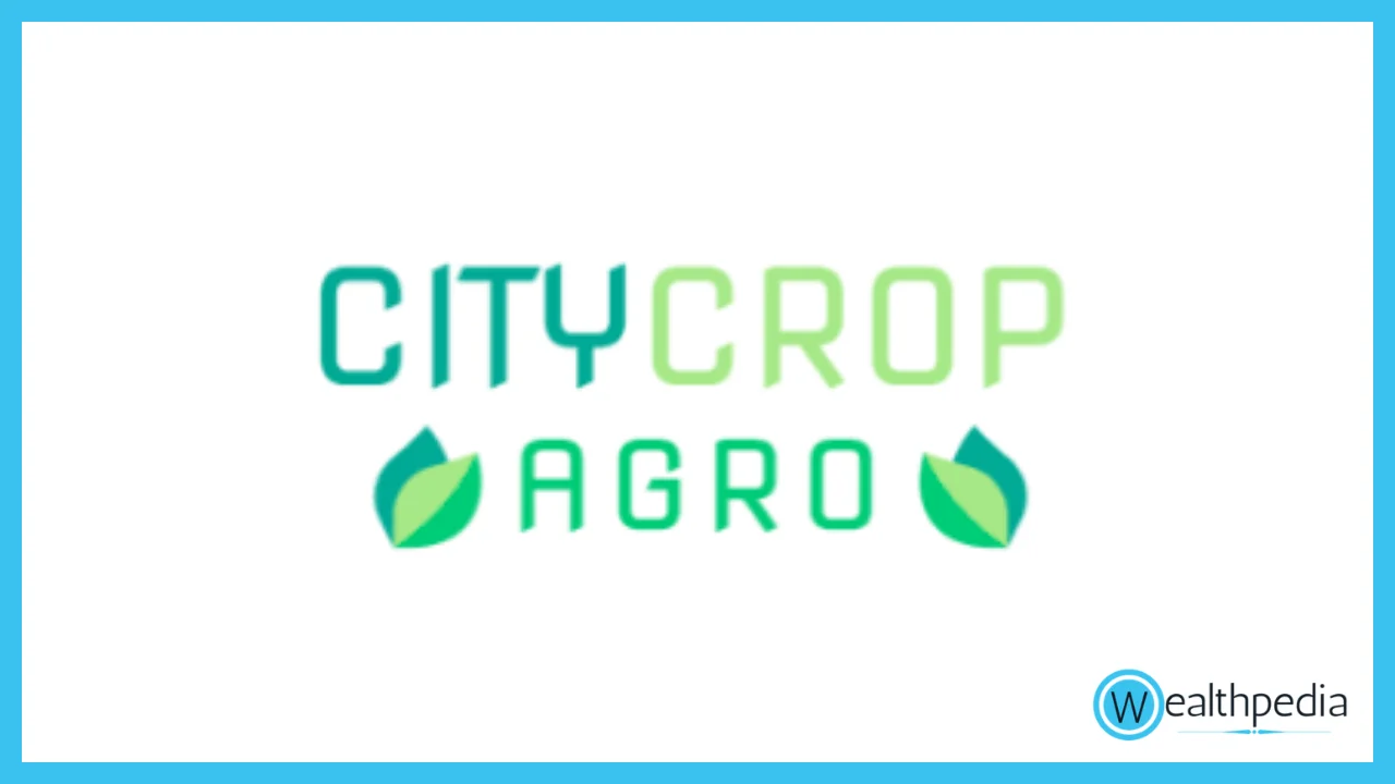 City Crops Agro IPO Allotment Status, Check Allotment On Skyline